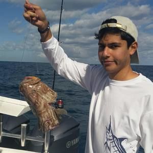 Meet your Posher, Omry